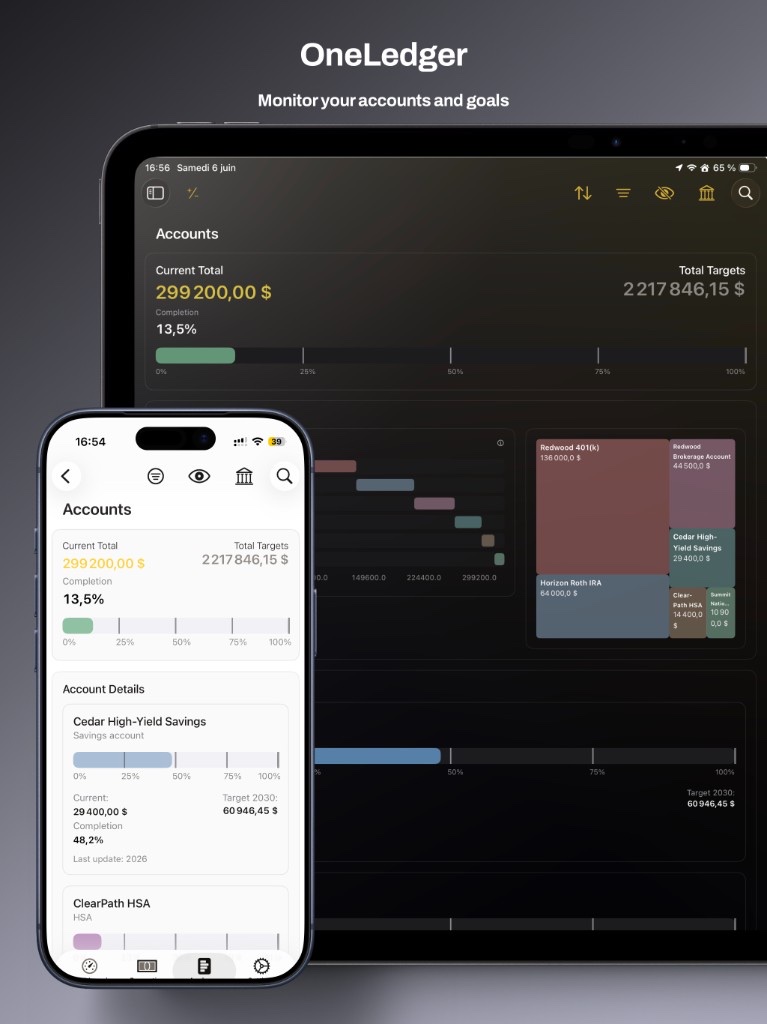 OneLedger on iPhone and iPad — accounts, goals and progress tracking